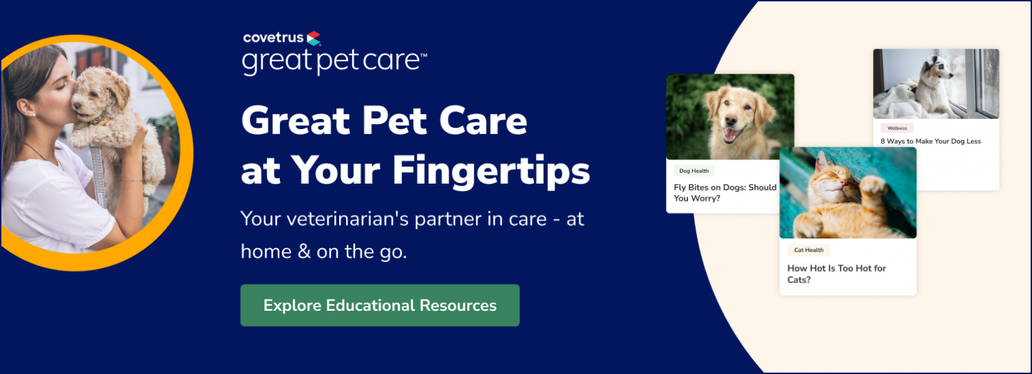 Covetrus Great Paws Educational Resources Button