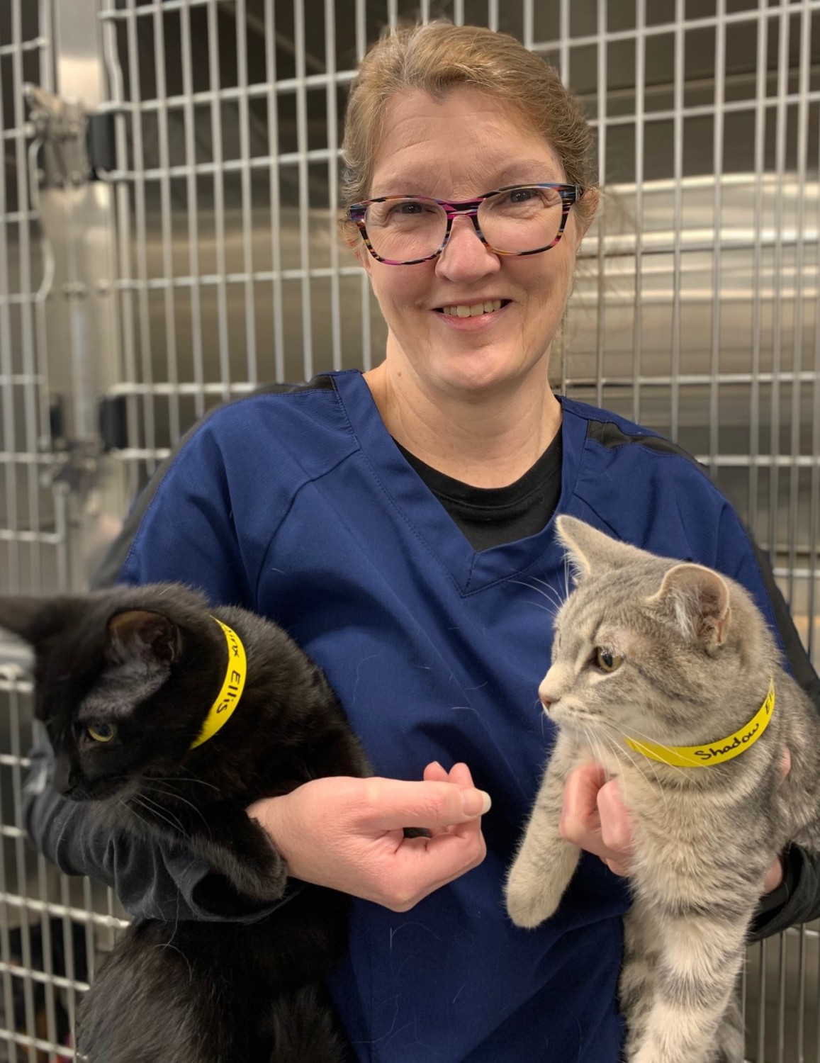 Cindy Partello, CVT: Veterinary Technician