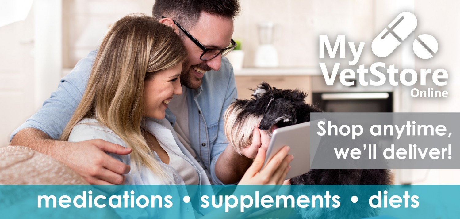 MyVetStore Online Banner